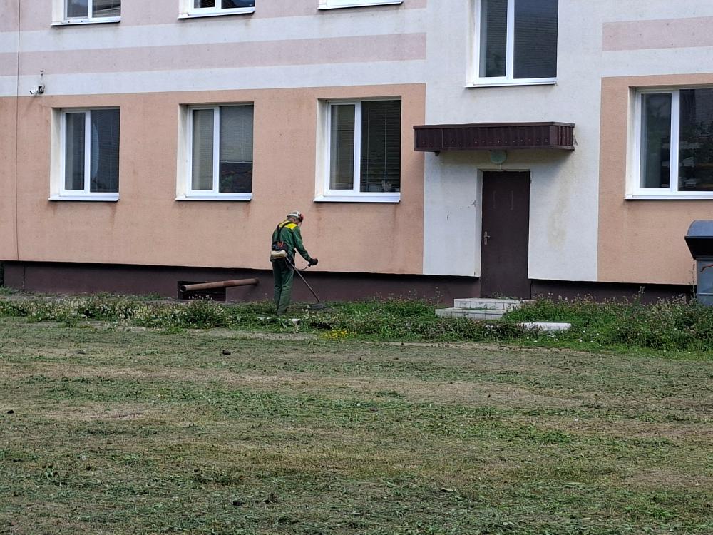 Чистота и порядок на территории Белинской больницы.